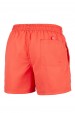 Z-5106 Szorty męskie carrot