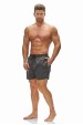 Z-5106 Men's swimshorts/titanium