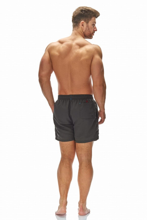 Z-5106 Men's swimshorts/titanium